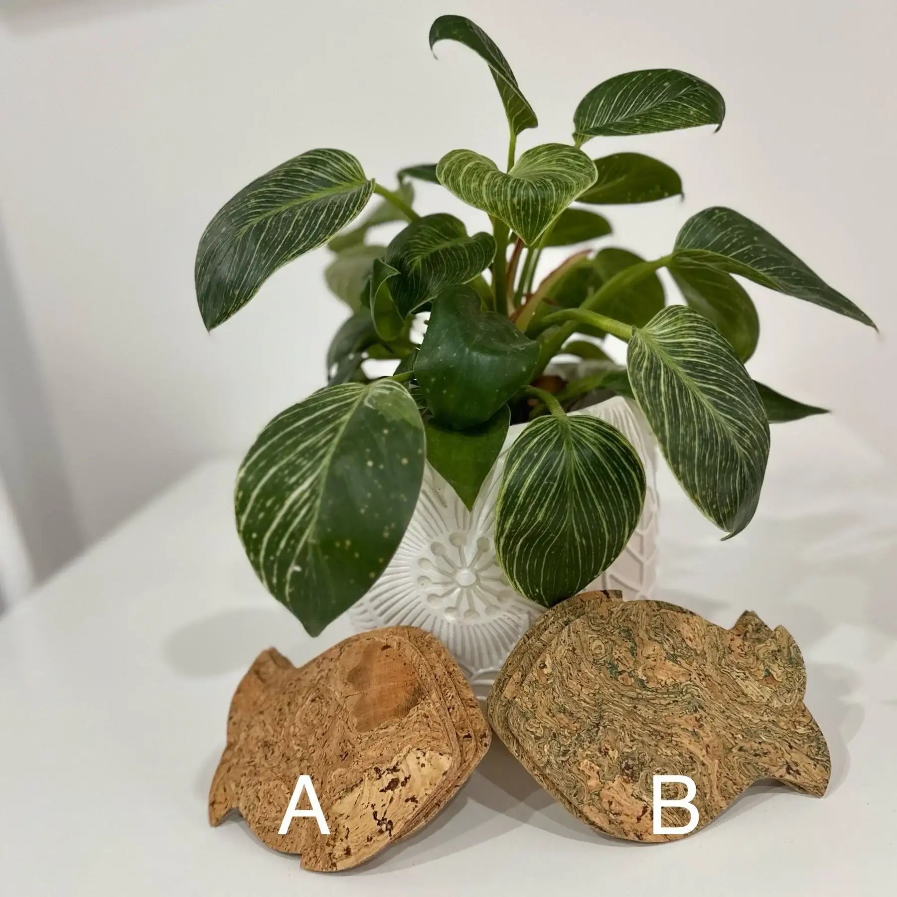 Fish shaped Coasters set of 6