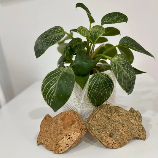 Fish Shaped Cork Coasters Set of 6 - The Cork Shop
