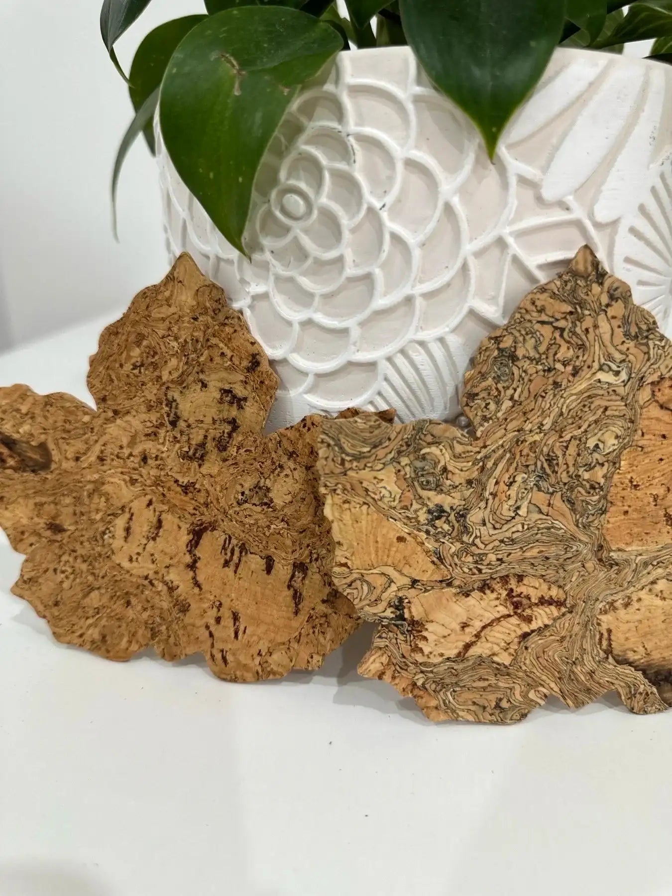 Maple Leaf Cork Coasters set of 6