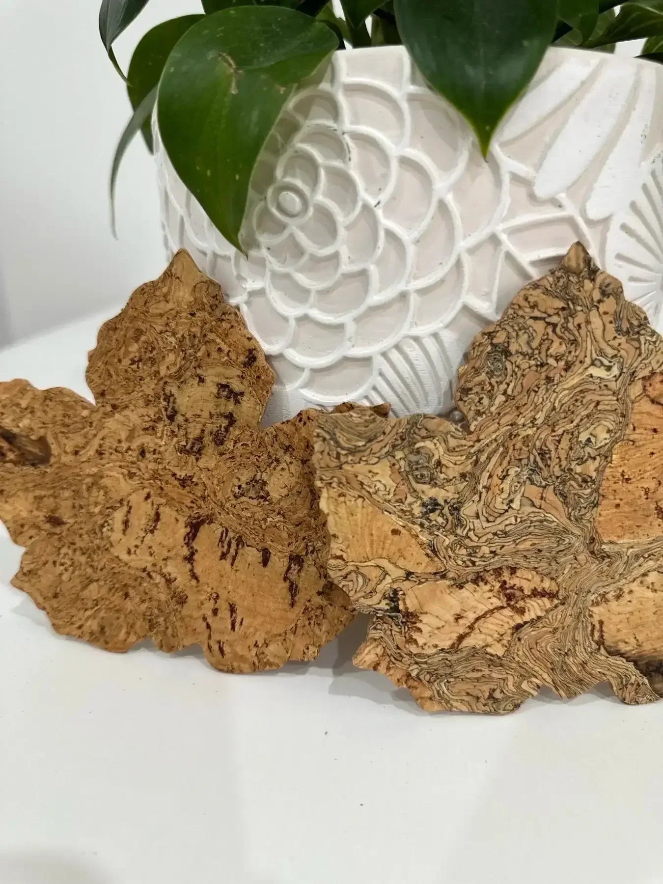 Maple Leaf Cork Coasters - Set of 6 - The Cork Shop