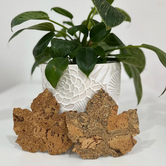 Maple Leaf Cork Coasters set of 6