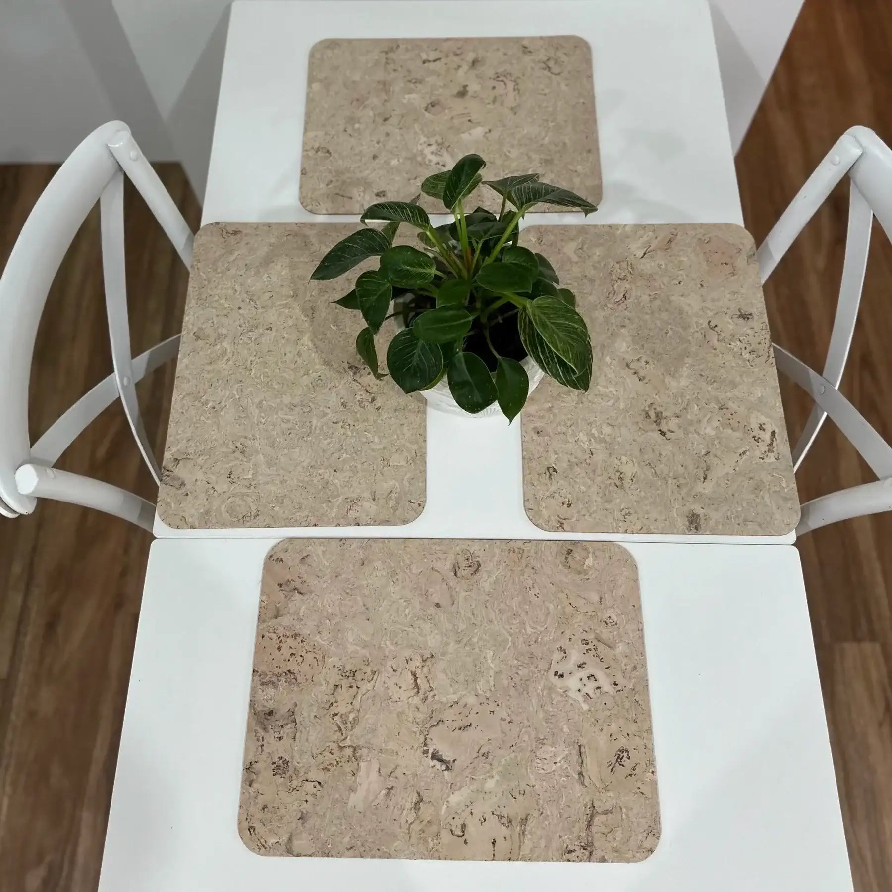 White Cork Placemats Set of 4