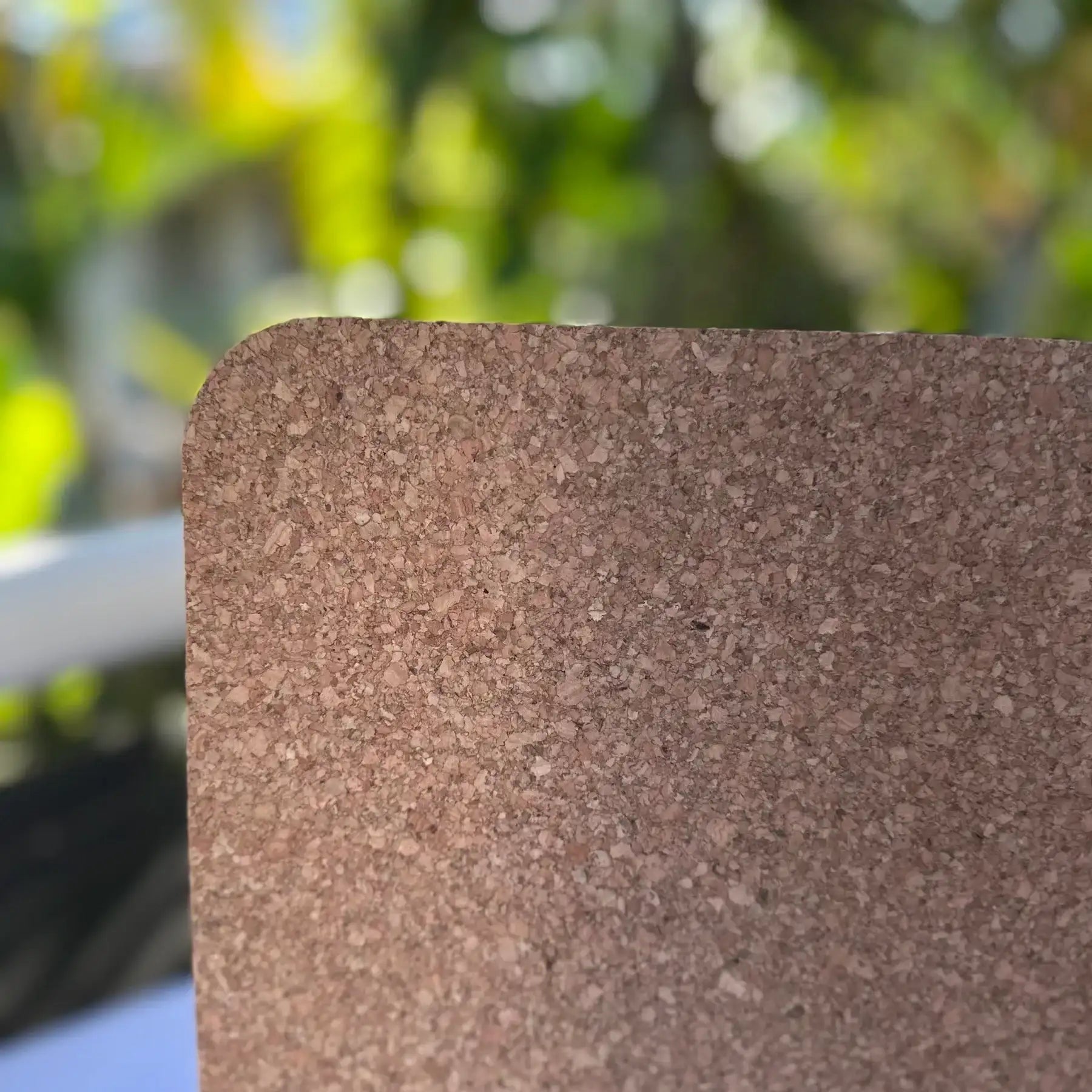 Natural Rectangle Cork Placemats set of 4