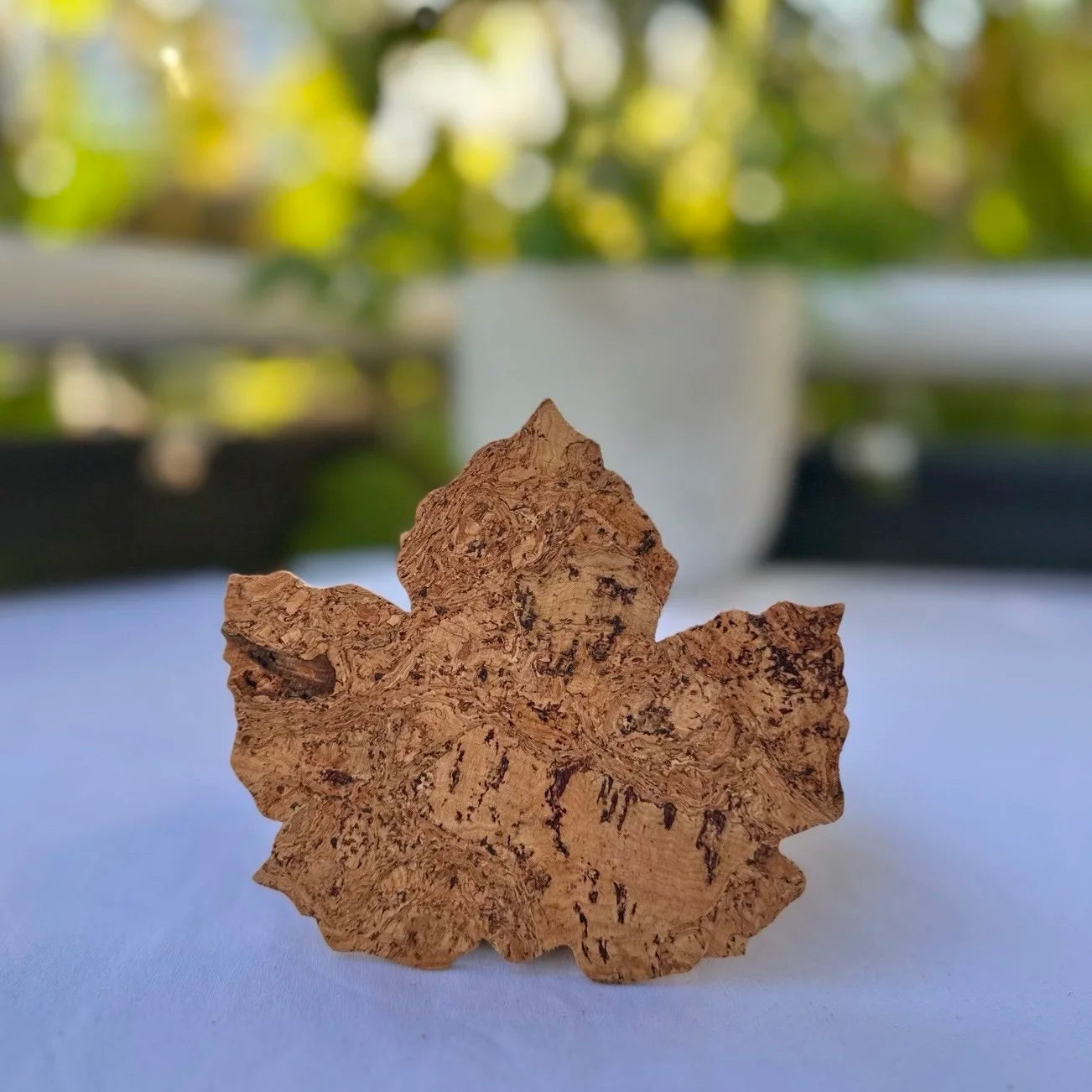 Maple Leaf Cork Coasters set of 6