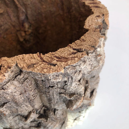 Virgin Cork Planter Pot