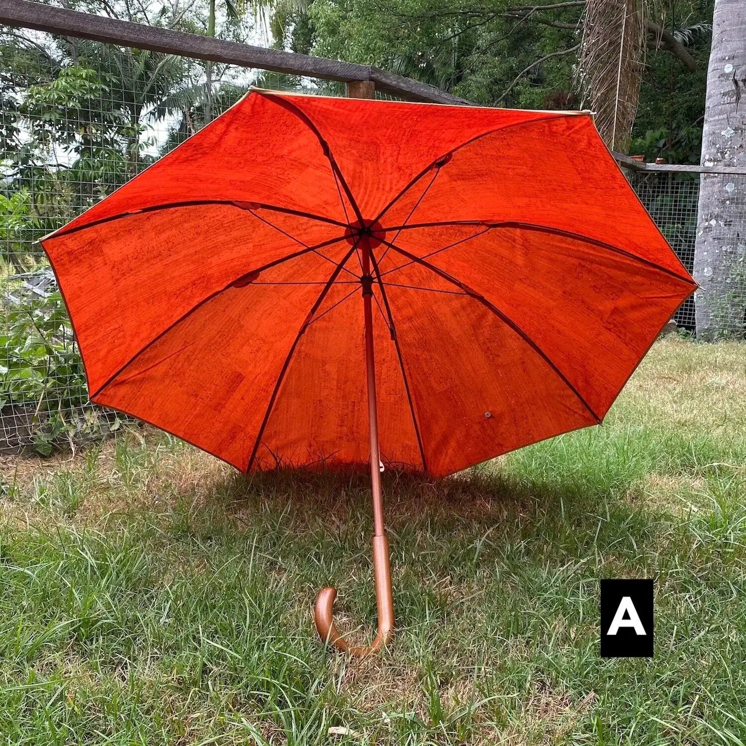 Cork Umbrella