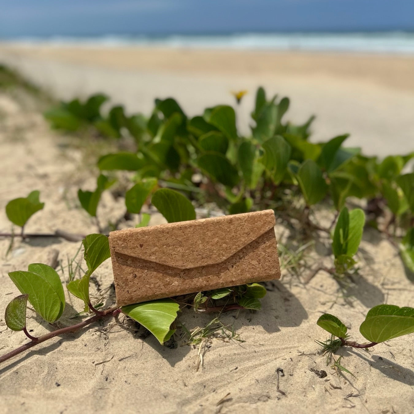 Natural Cork Collapsible Glasses Case