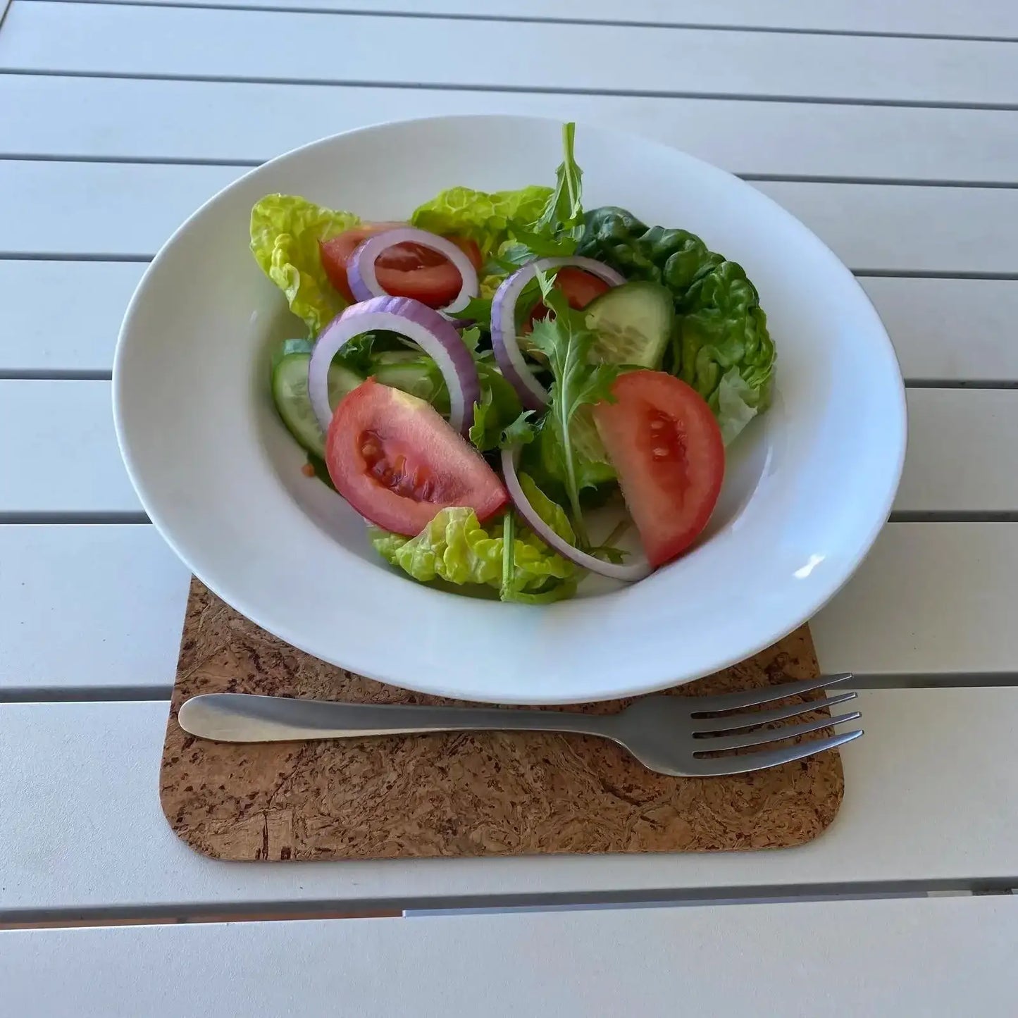 Cork Placemats -Rectangle Set of 4 or 6