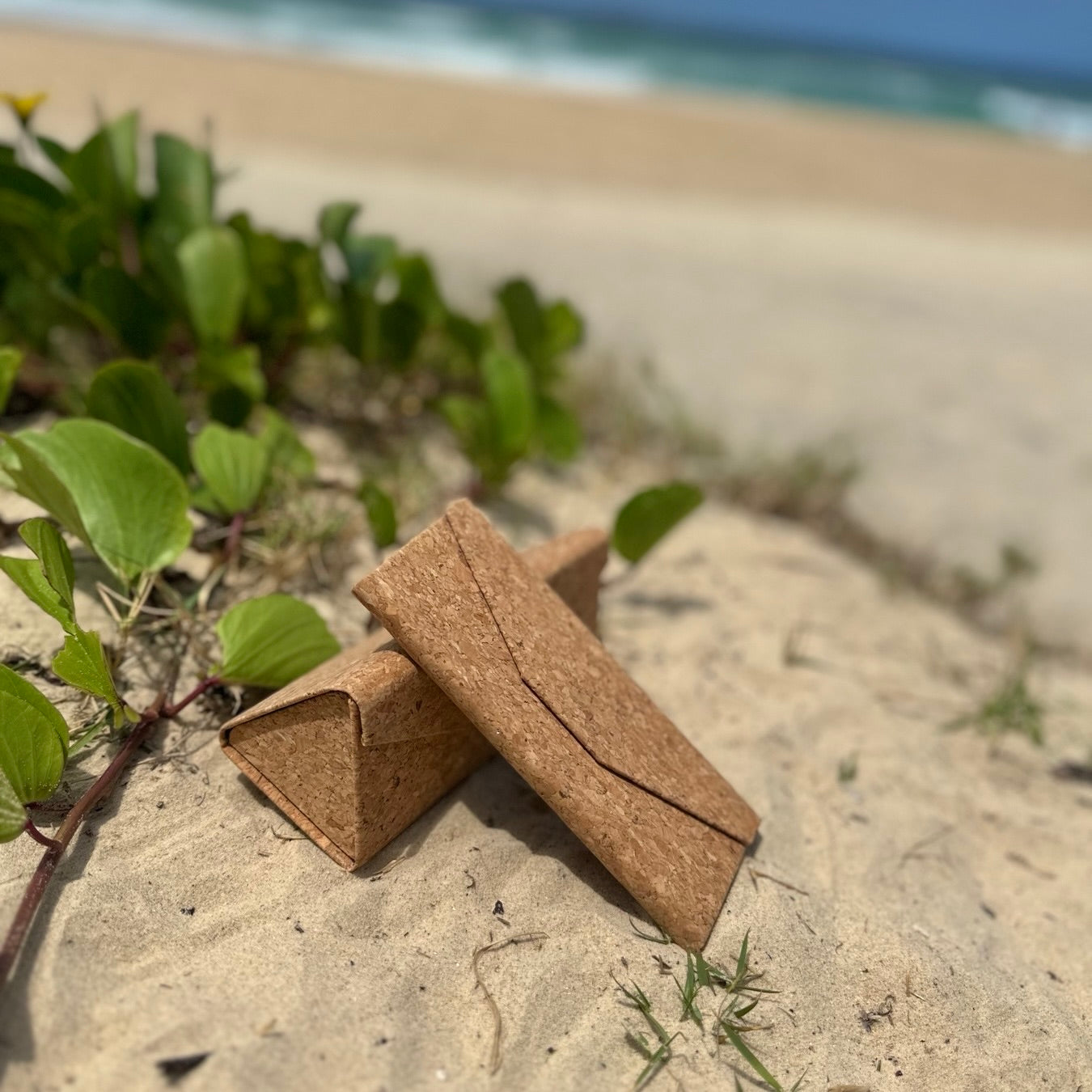 Natural Cork Collapsible Glasses Case