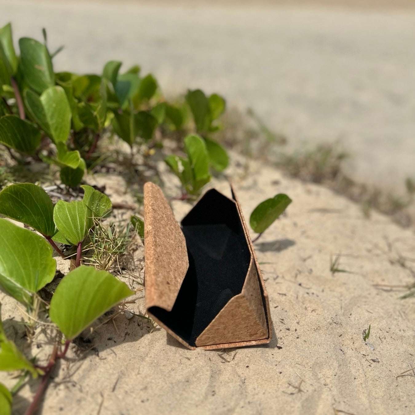 Natural Cork Collapsible Glasses Case