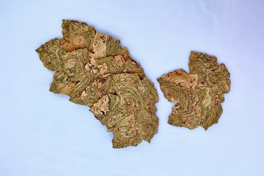 Maple Leaf Cork Coasters - Set of 6 - The Cork Shop 