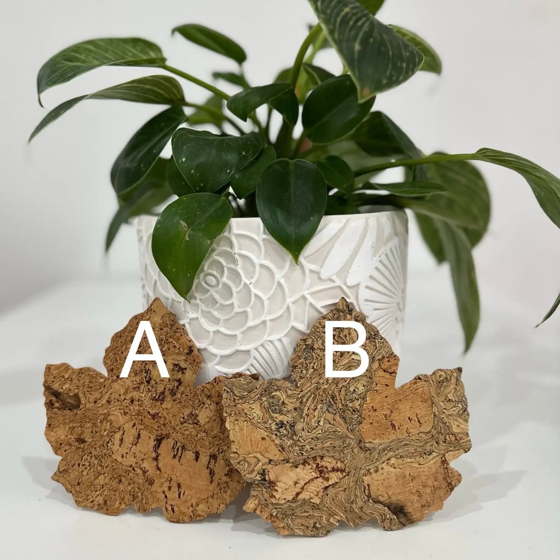 Maple Leaf Cork Coasters set of 6