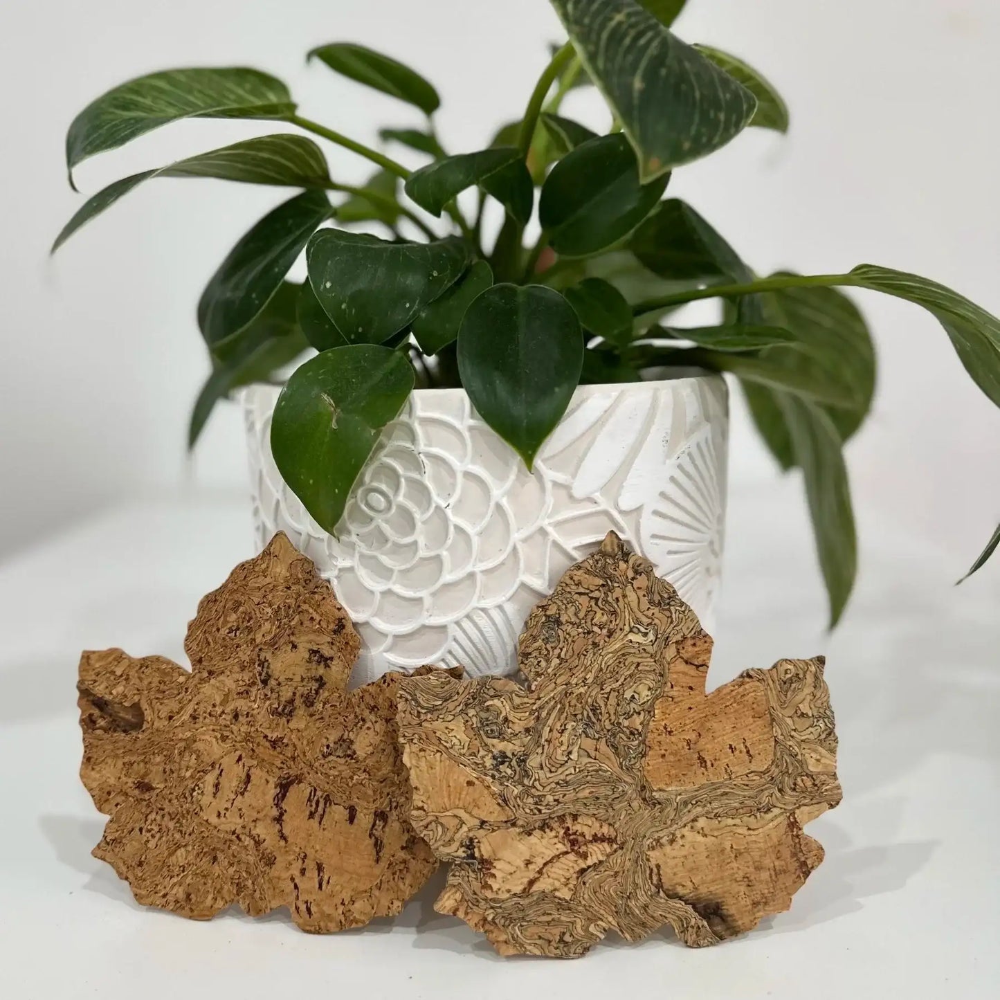 Maple Leaf Cork Coasters set of 6