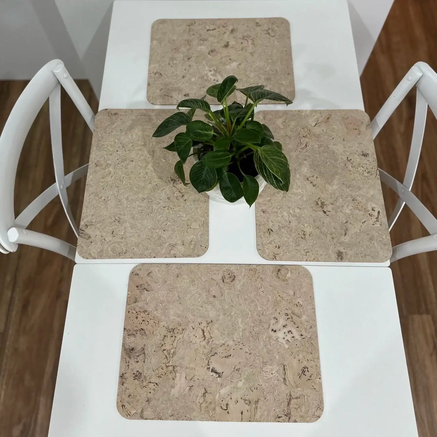White Cork Placemats Set of 4