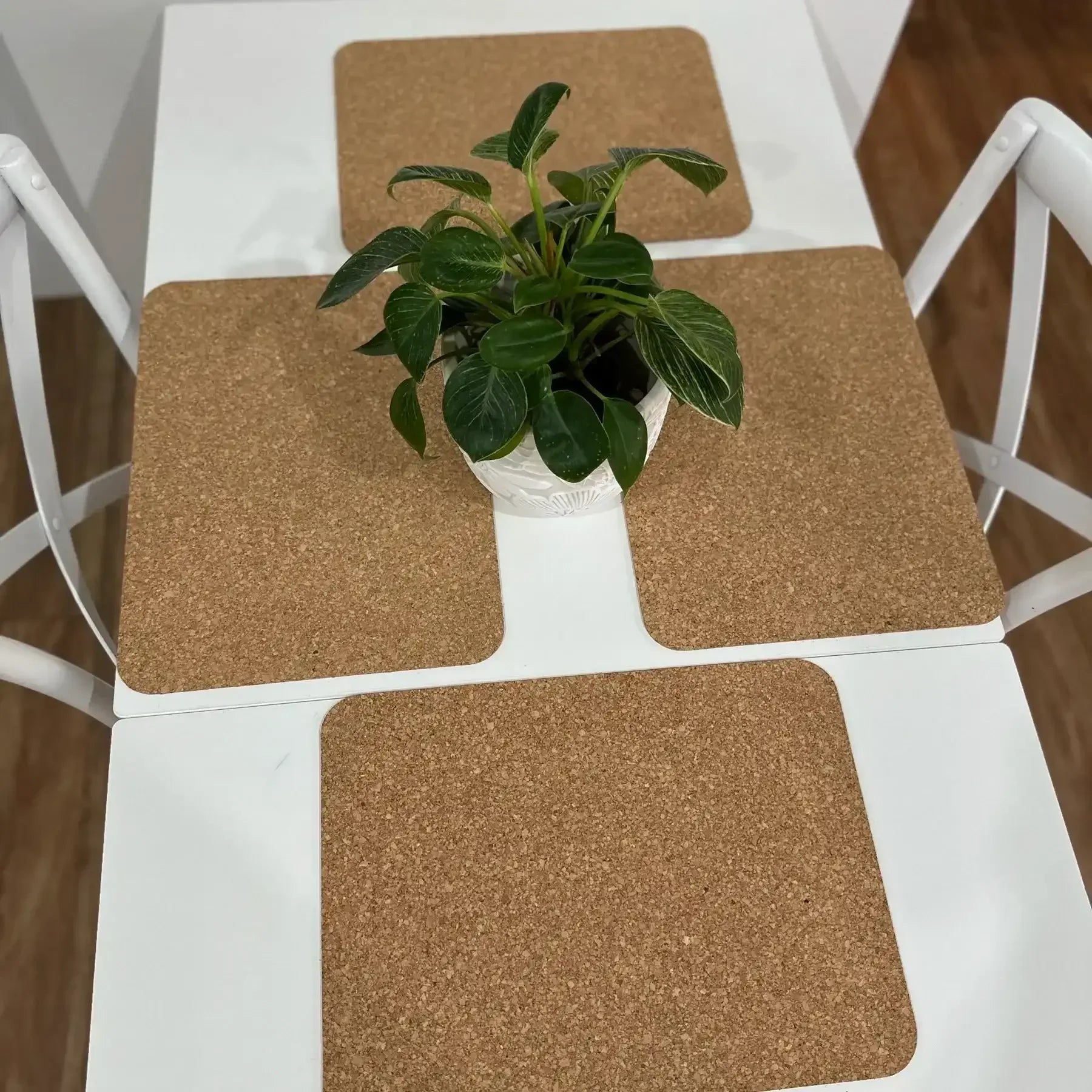 Natural Rectangle Cork Placemats Set of 4 - Rustic | The Cork Shop ...