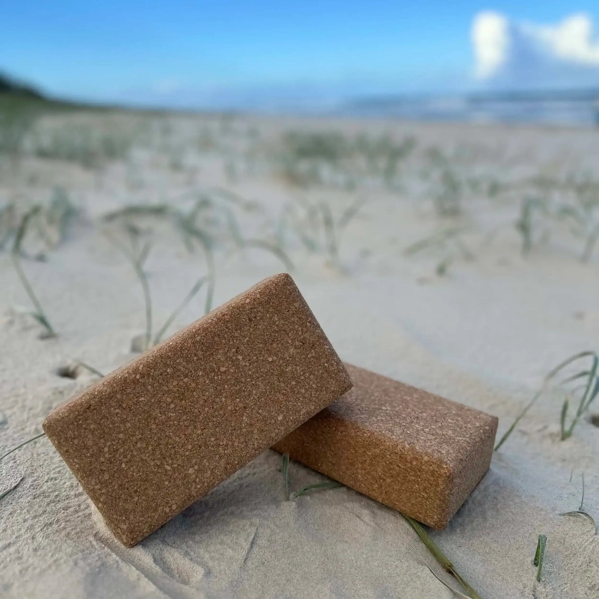 Cork Yoga Block