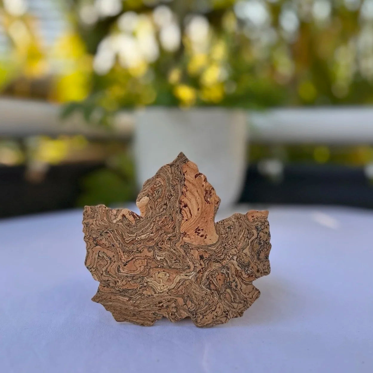 Maple Leaf Cork Coasters set of 6