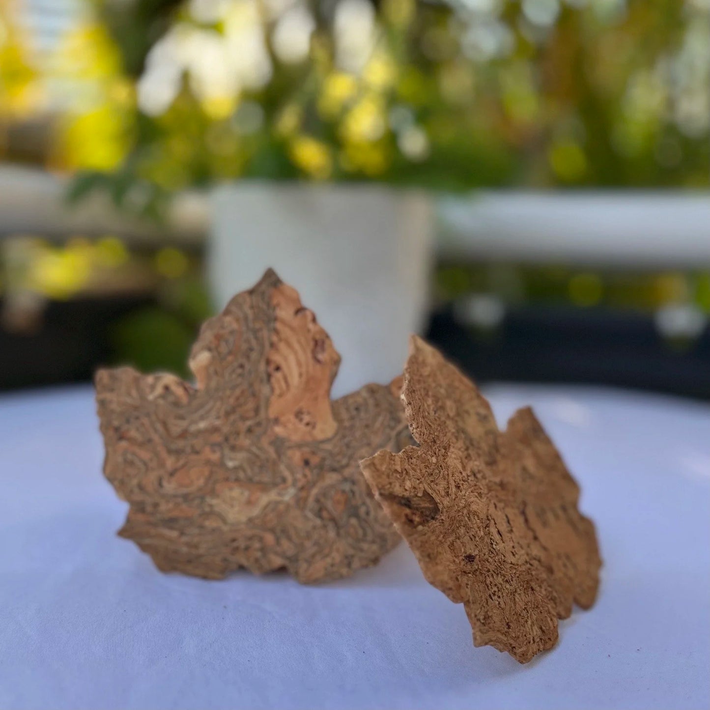 Maple Leaf Cork Coasters set of 6