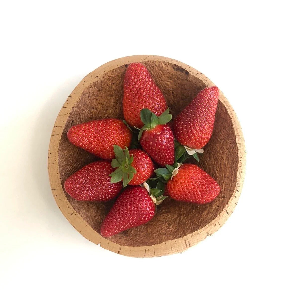 New~Unique Cork  Bowl