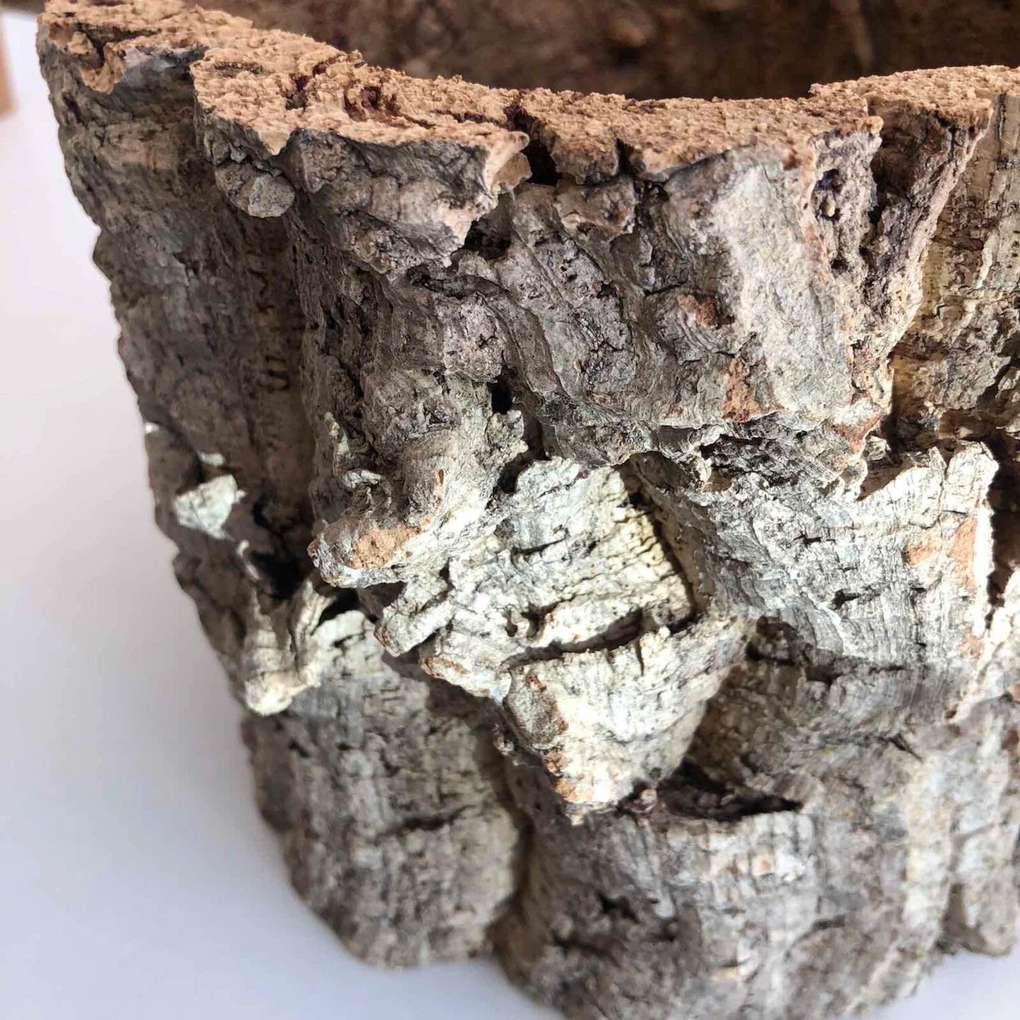 Virgin Cork Planter Pot