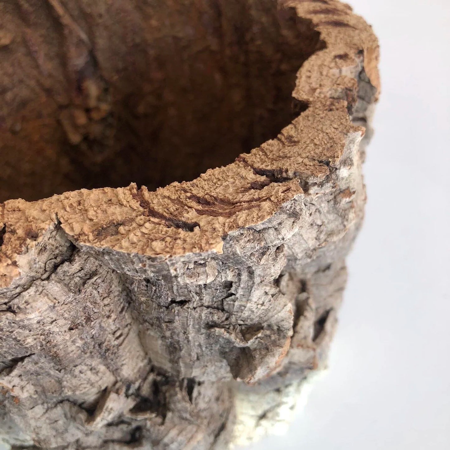 Virgin Cork Planter Pot