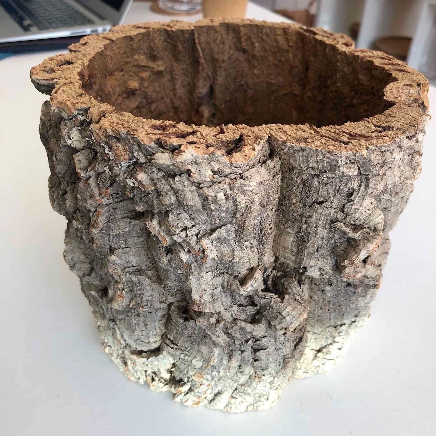 Virgin Cork Planter Pot