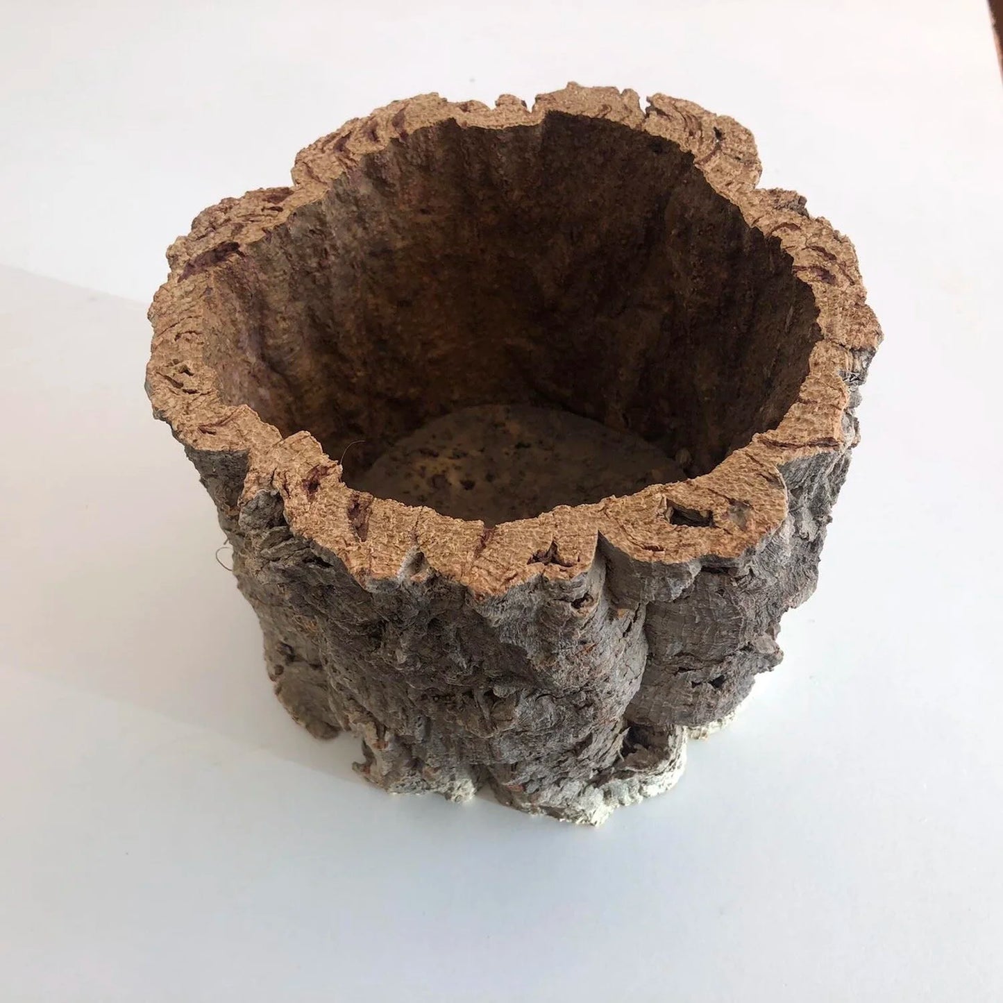 Virgin Cork Planter Pot
