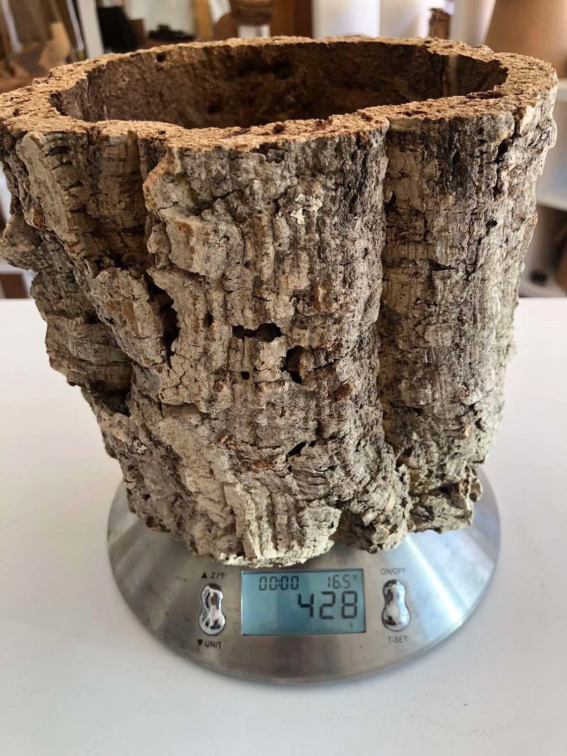 Virgin Cork Planter Pot