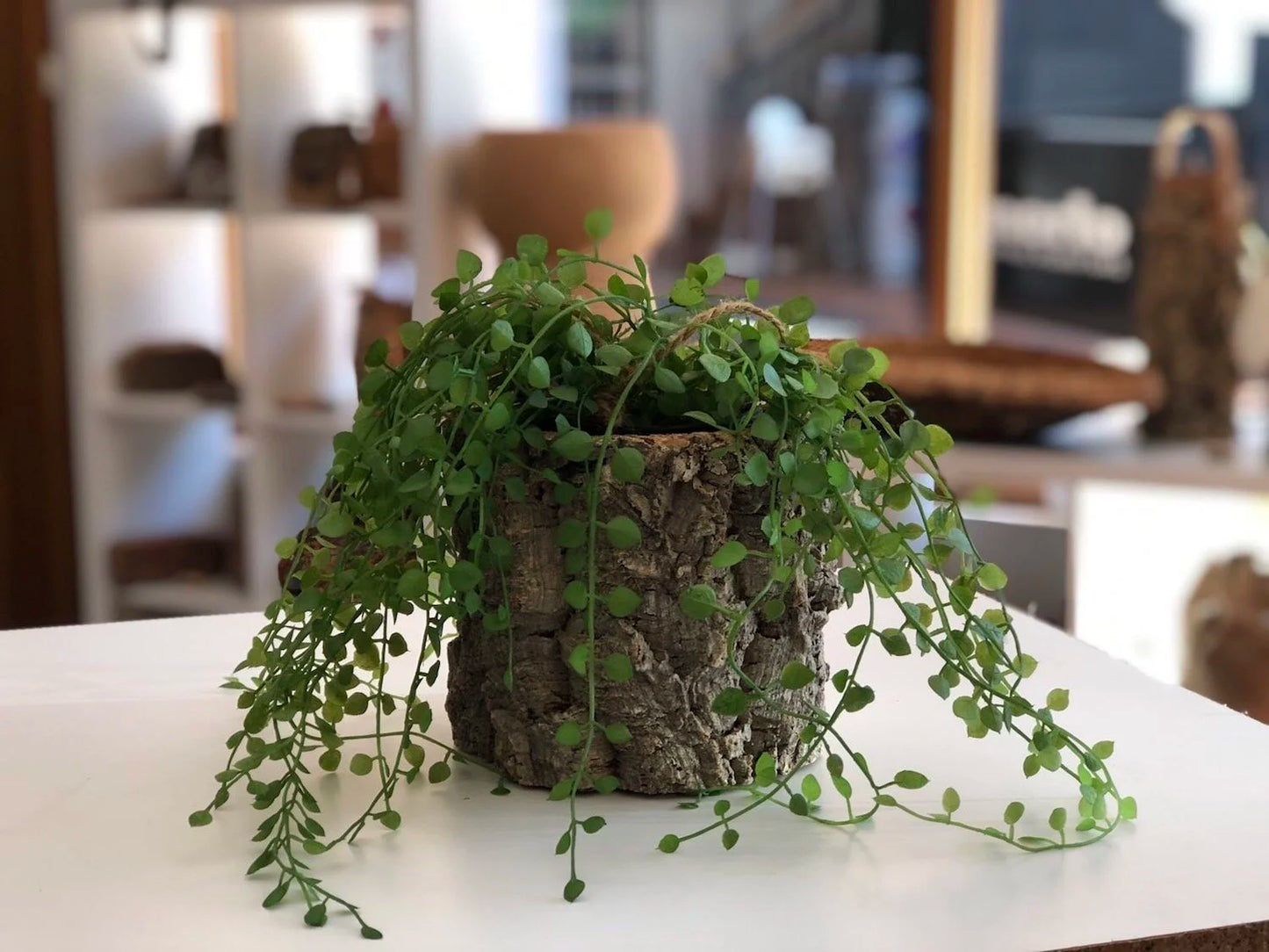 Virgin Cork Planter Pot