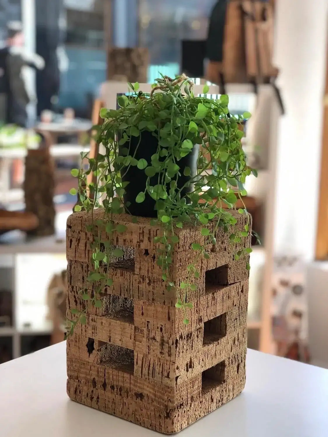 NEW~Cork Stool or Table